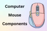 Components of a Computer Mouse for Office and Gaming