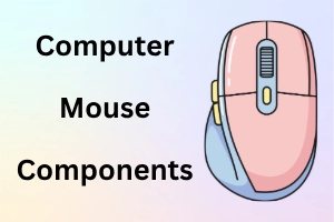 Components of a Computer Mouse for Office and Gaming