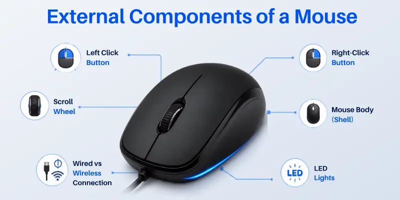 External Components of a Computer Mouse