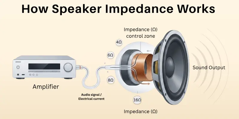 How Speaker Impedance Works 