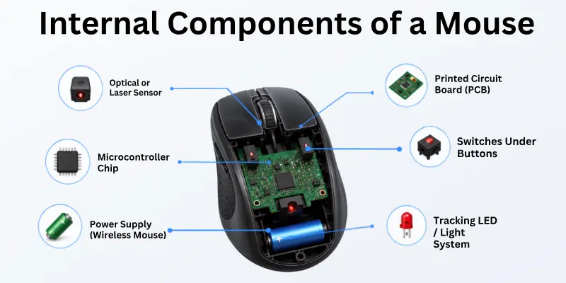 Internal Components of a Computer Mouse