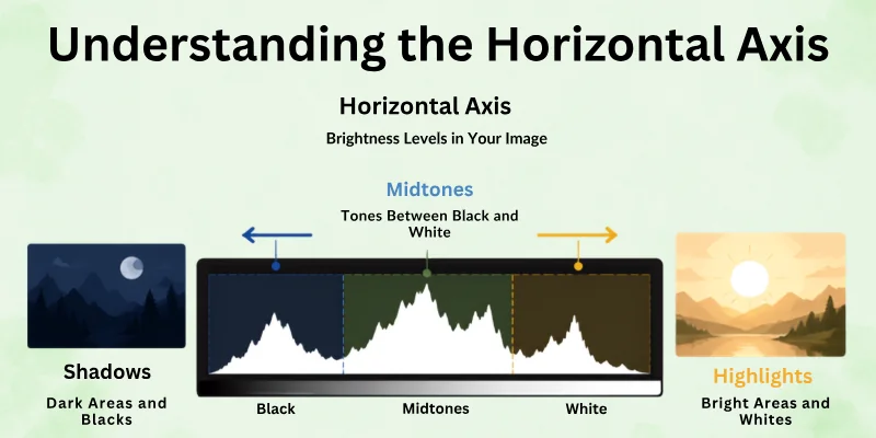 Understanding the Horizontal Axis