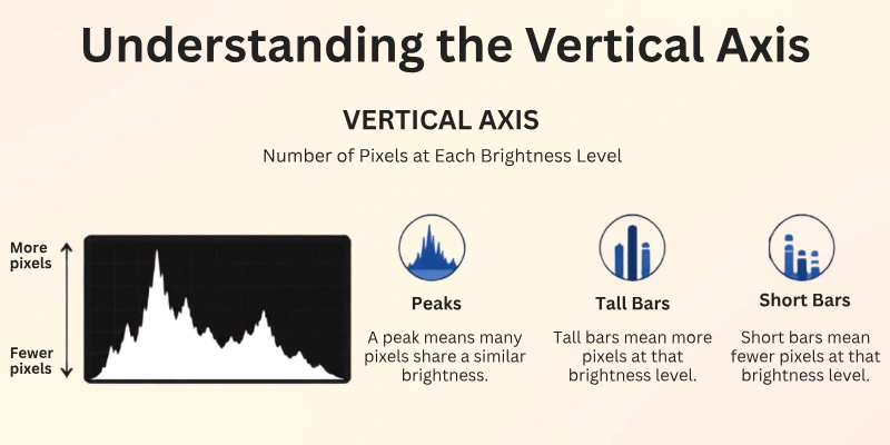 Understanding the Vertical Axis