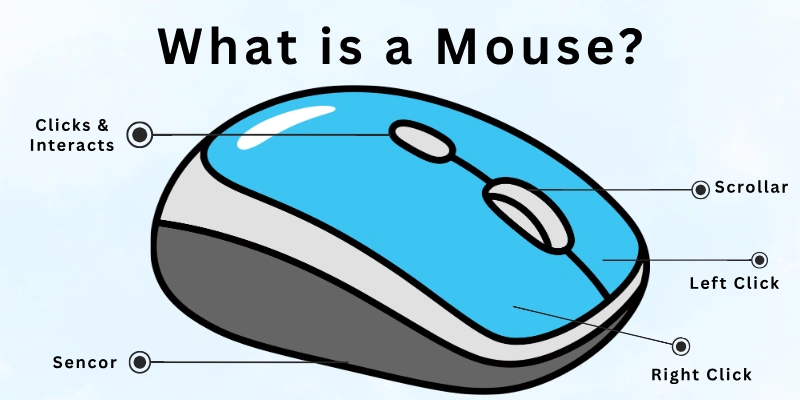 What is Mouse?